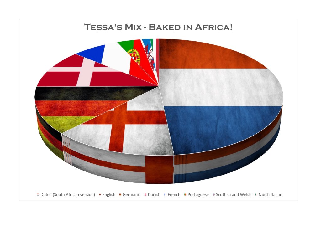 'n Sirkeldiagram wat Tessa se herkoms aandui, volgens DNA-ontleding.